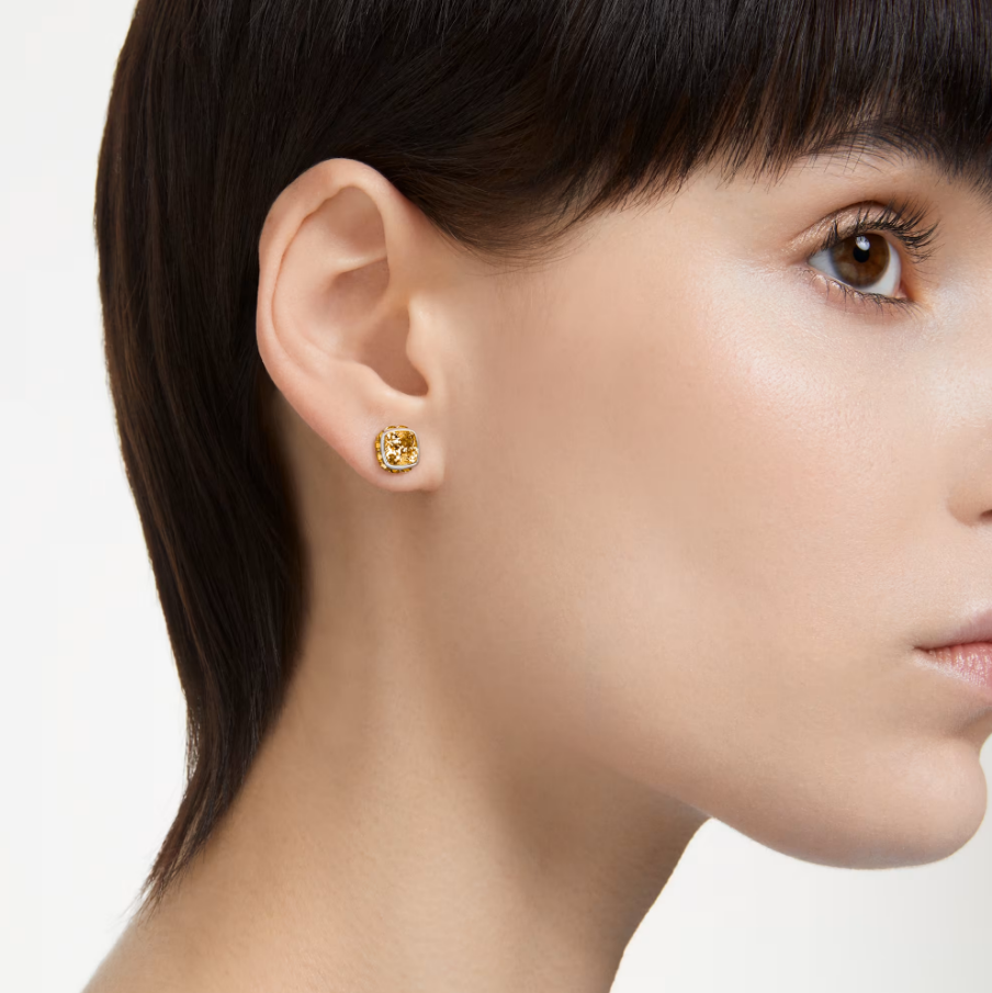 swarovski Birthstone stud earrings 5660802