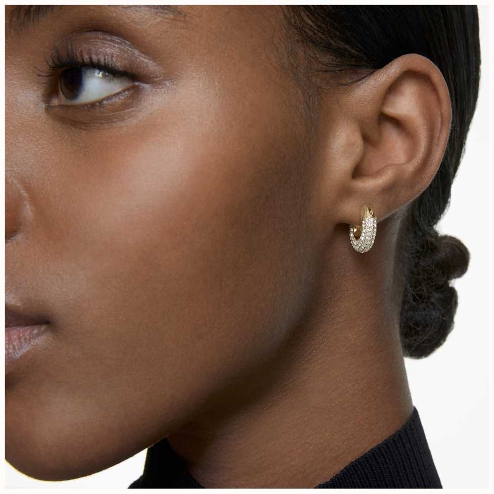 swarovski Dextera hoop earrings 5636531